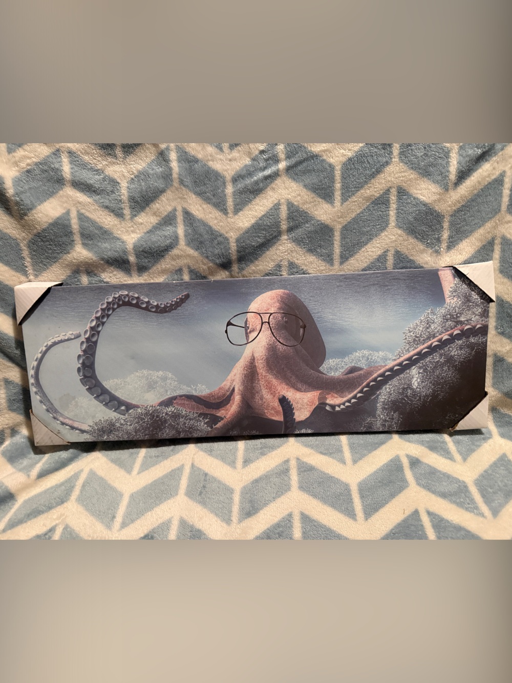 Hobby Lobby Octopus Wall Art in Blue and Pink Tones